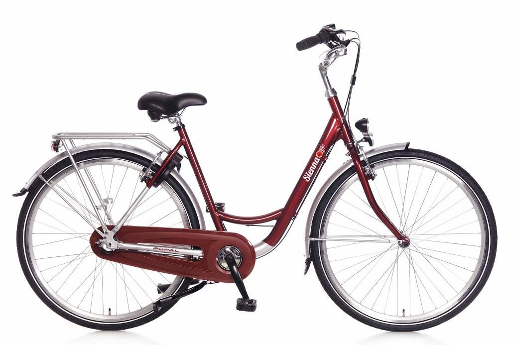 Featured image for “Damesfiets Nieuw 2”